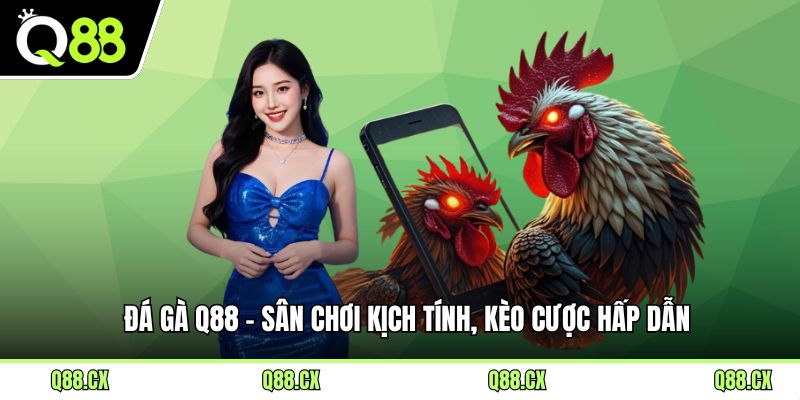 Đá Gà Q88