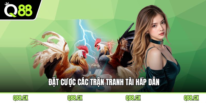 Đặt cược các trận tranh tài hấp dẫn