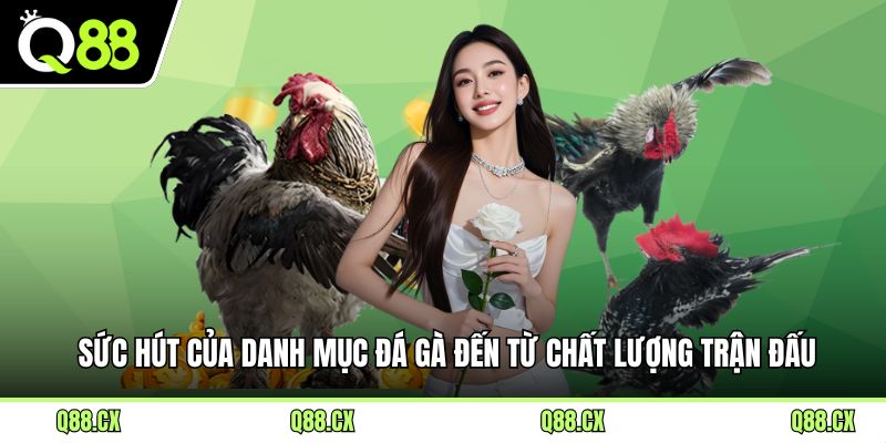 Sức hút của danh mục đá gà đến từ chất lượng trận đấu